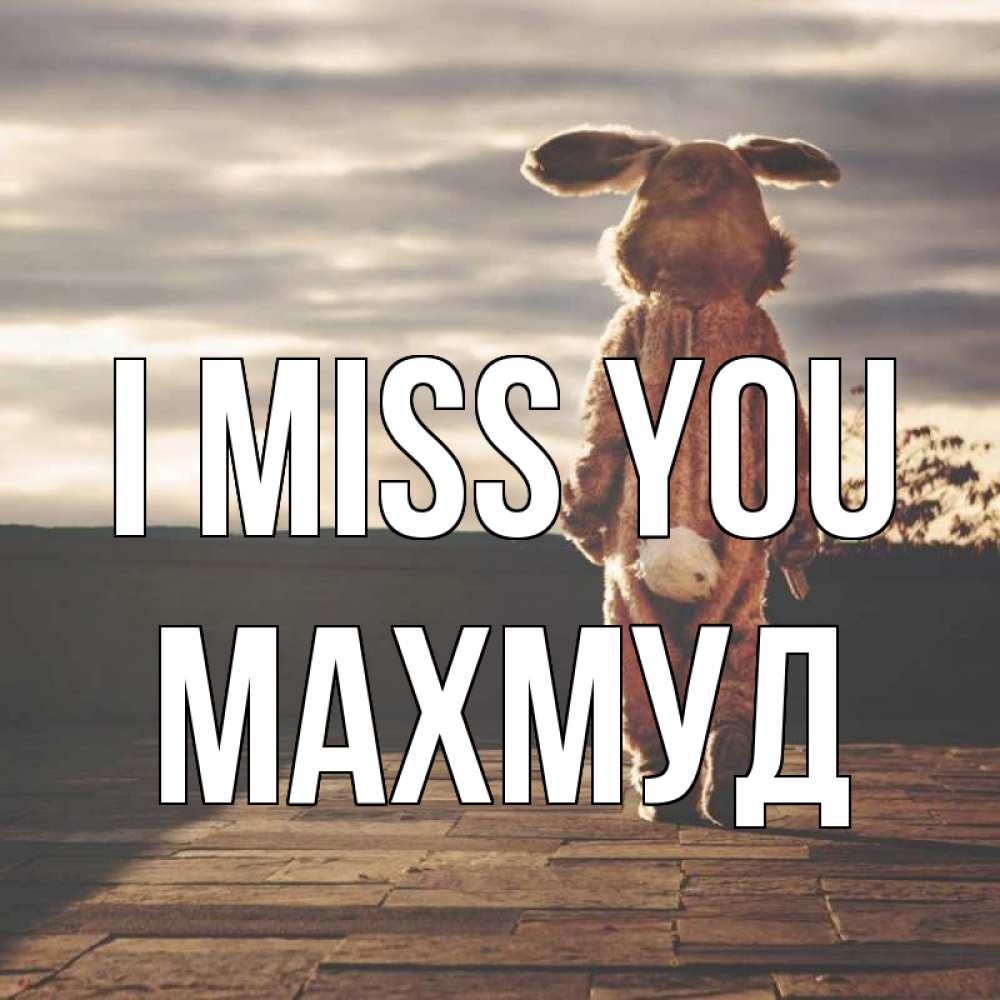 Greetings card с именем, Махмуд I miss you даже в костюме зайца Greetings with text for free download 