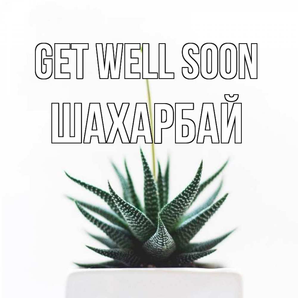 Greetings card с именем, ШАХАРБАЙ Get well soon короче это непонятная колючка Greetings with text for free download 