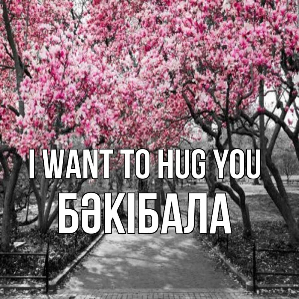Greetings card с именем, БӘКІБАЛА I want to hug you обработанное фото Greetings with text for free download 
