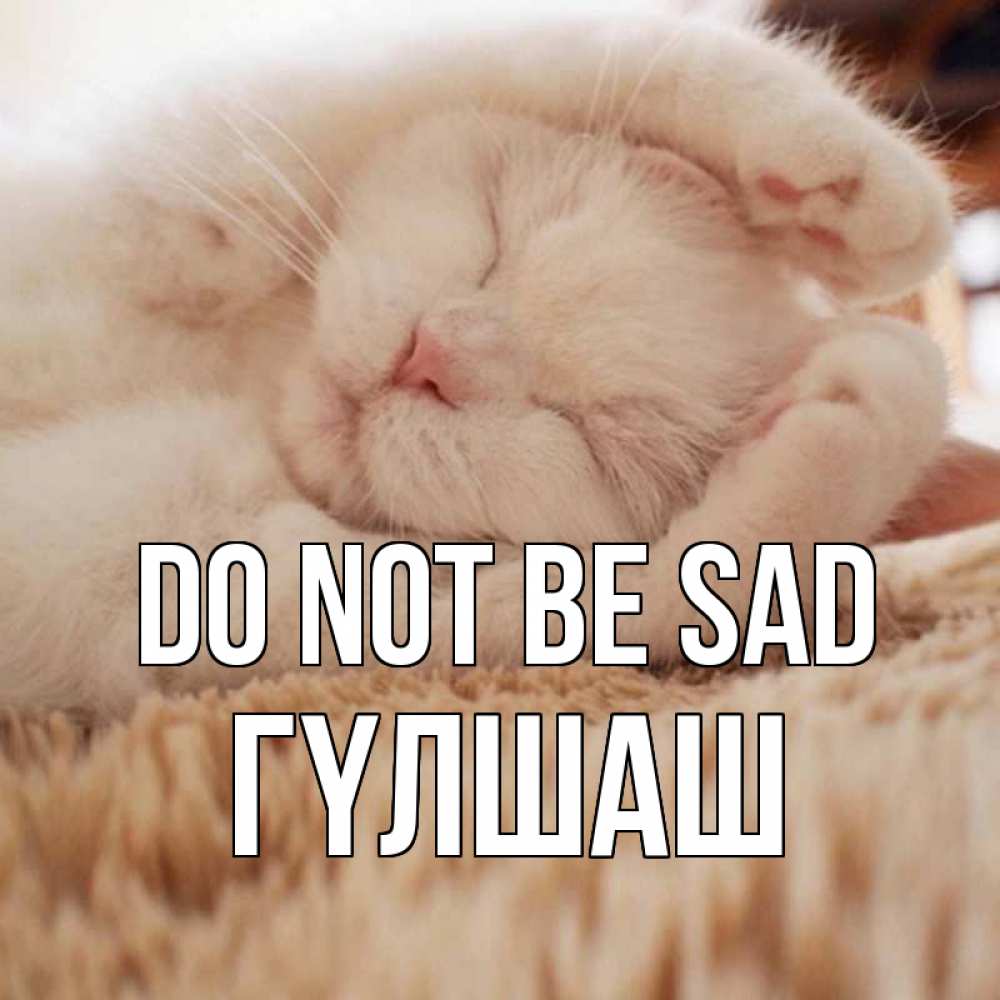 Greetings card с именем, ГҮЛШАШ Do not be sad белый кот Greetings with text for free download 
