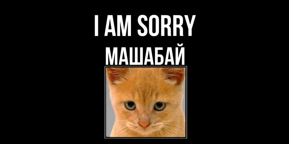 Greetings card с именем, МАШАБАЙ I am sorry рыжий грустный кот просит прощения Greetings with text for free download 