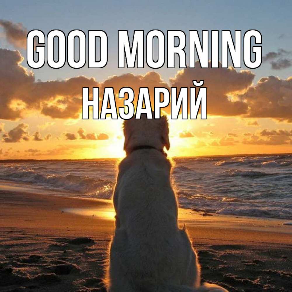 Greetings card с именем, Назарий Good morning восход солнца Greetings with text for free download 