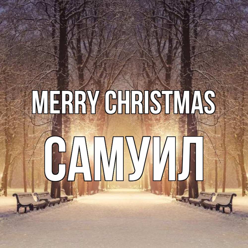 Greetings card с именем, Самуил Merry Christmas зима, парк, фонарь, лес Greetings with text for free download 