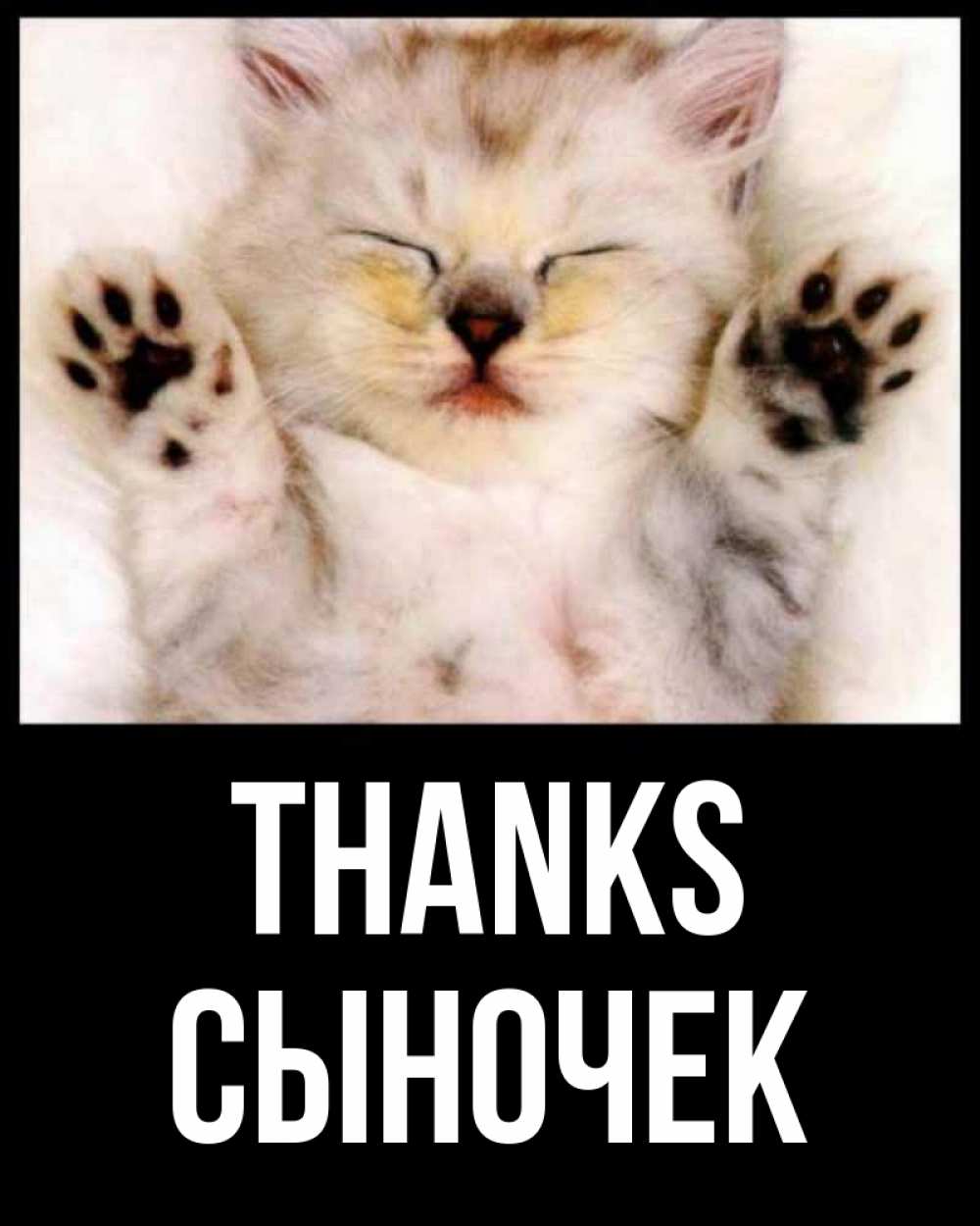 Greetings card с именем, Сыночек Thanks маленький котенок Greetings with text for free download 