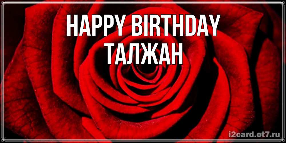 Greetings card с именем, ТАЛЖАН Happy Birthday алая роза Greetings with text for free download 
