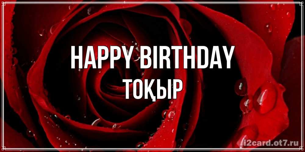 Greetings card с именем, ТОҚЫР Happy Birthday крупная бордовая роза Greetings with text for free download 