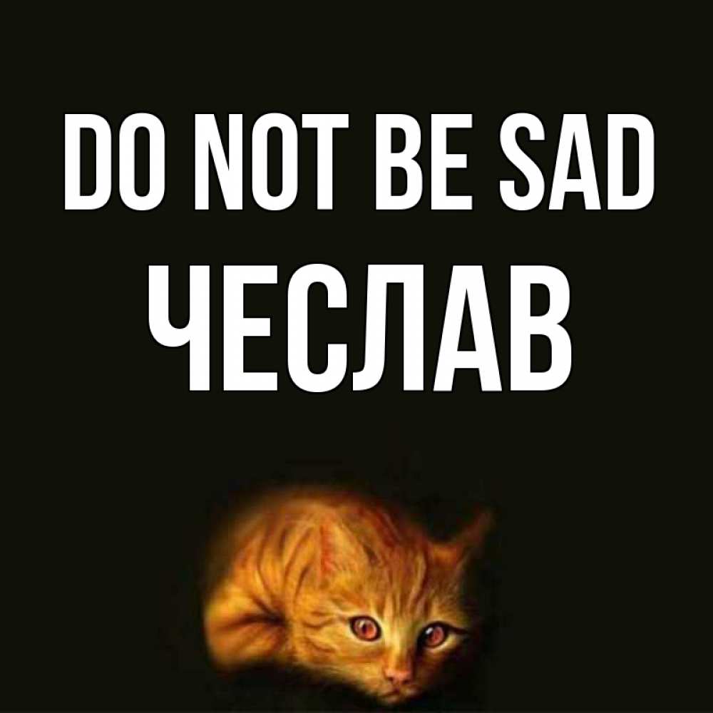 Greetings card с именем, Чеслав Do not be sad лежащий кот в темноте Greetings with text for free download 