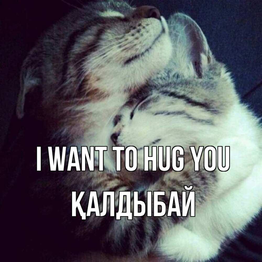 Greetings card с именем, Қалдыбай I want to hug you полосатики Greetings with text for free download 