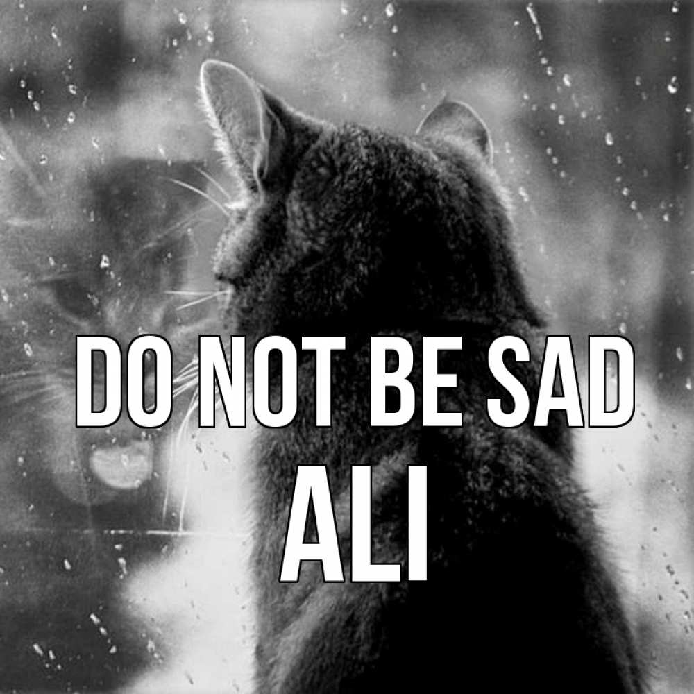 Greetings card с именем, Ali Do not be sad отражение кота 1 Greetings with text for free download 