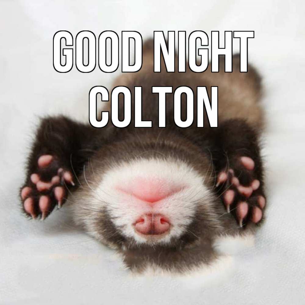 Greetings card с именем, Colton Good night зверек Greetings with text for free download 