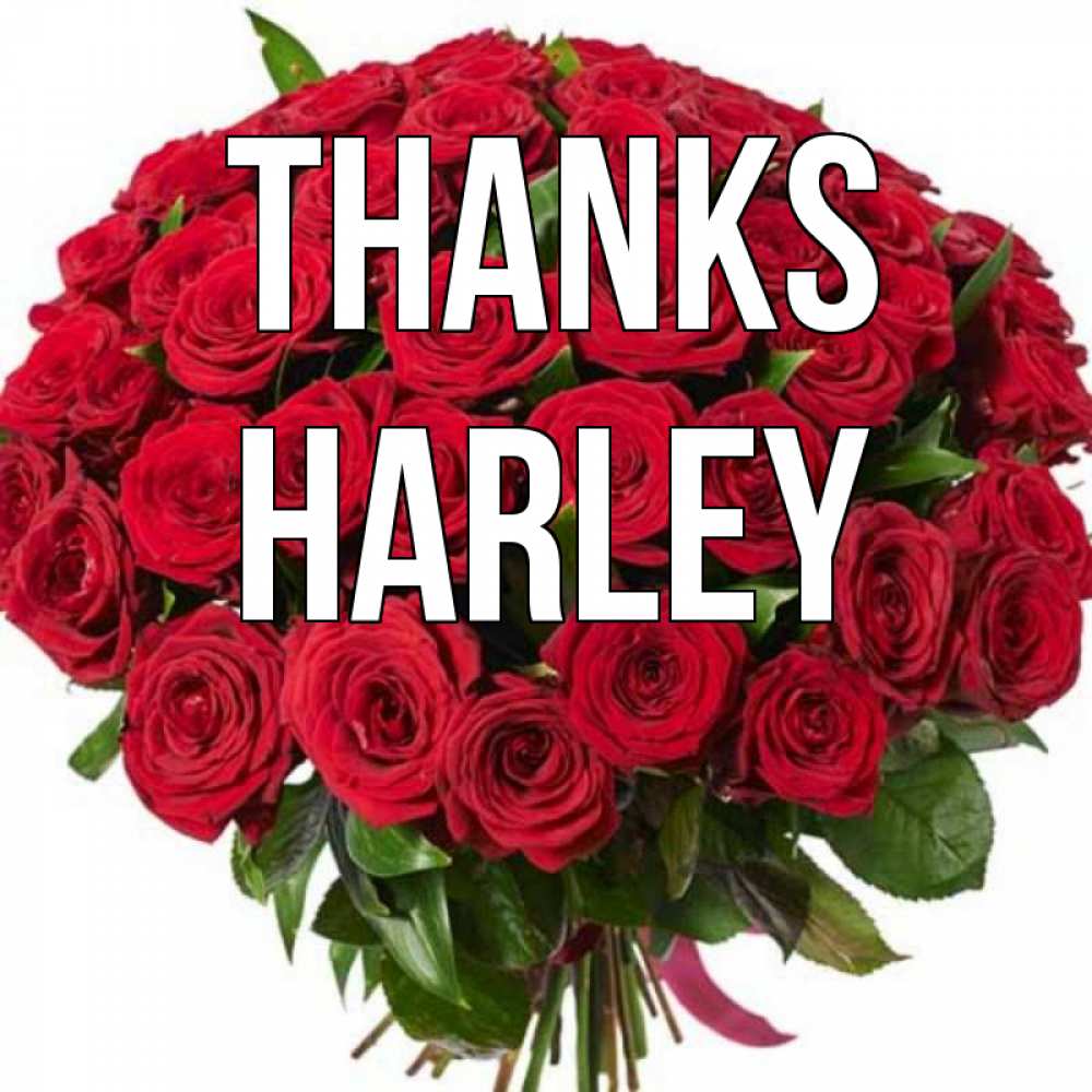 Greetings card с именем, Harley Thanks букет красных роз Greetings with text for free download 