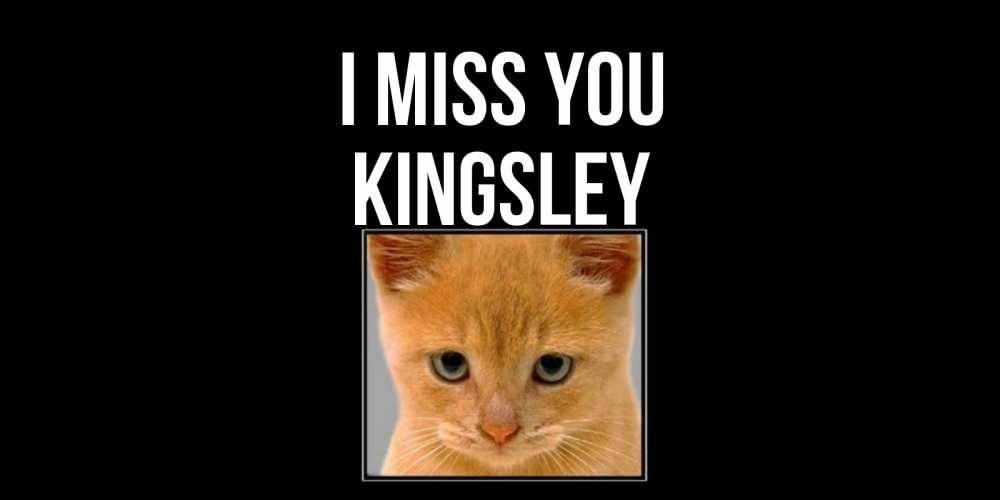 Greetings card с именем, Kingsley I miss you открытки рыжий котенок скучает по тебе Greetings with text for free download 