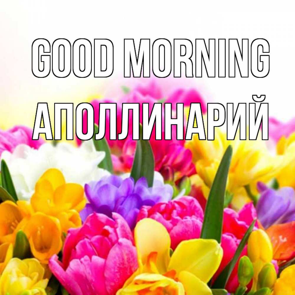 Greetings card с именем, Аполлинарий Good morning создать открытку со свое подписью Greetings with text for free download 
