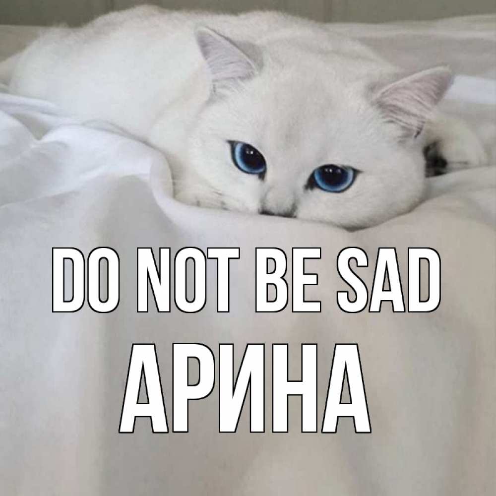 Greetings card с именем, Арина Do not be sad белый кот с голубыми глазами на белоснежной кровати Greetings with text for free download 