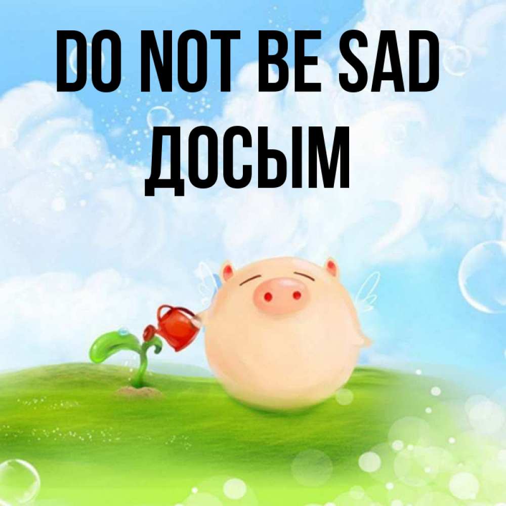Greetings card с именем, Досым Do not be sad поливает цветок порося Greetings with text for free download 