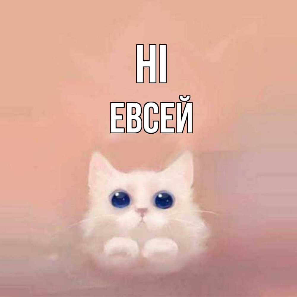 Greetings card с именем, Евсей Hi котик белый в полете Greetings with text for free download 