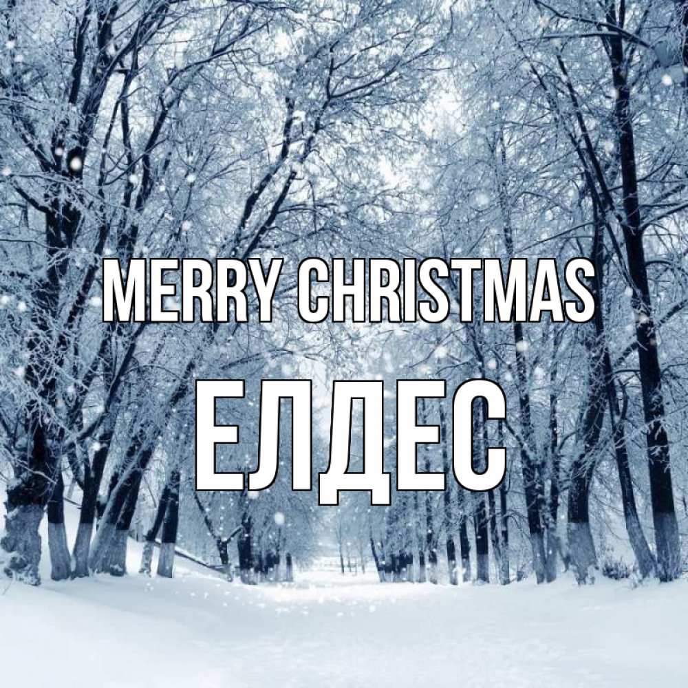Greetings card с именем, Елдес Merry Christmas снег, лес, парк Greetings with text for free download 