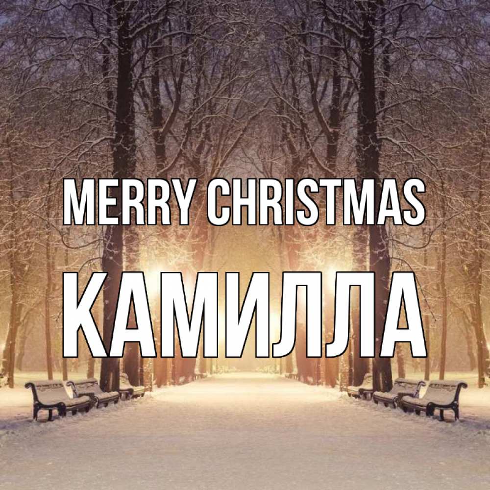 Greetings card с именем, Камилла Merry Christmas зима, парк, фонарь, лес Greetings with text for free download 