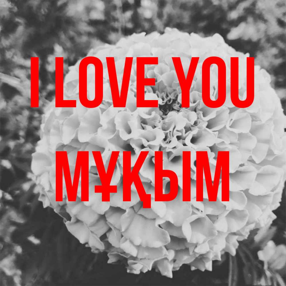 Greetings card с именем, МҰҚЫМ I love you подпись Greetings with text for free download 