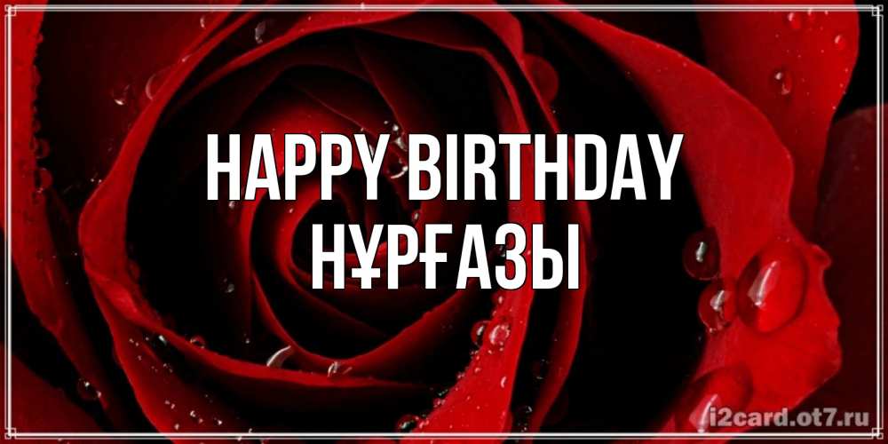 Greetings card с именем, НҰРҒАЗЫ Happy Birthday крупная бордовая роза Greetings with text for free download 