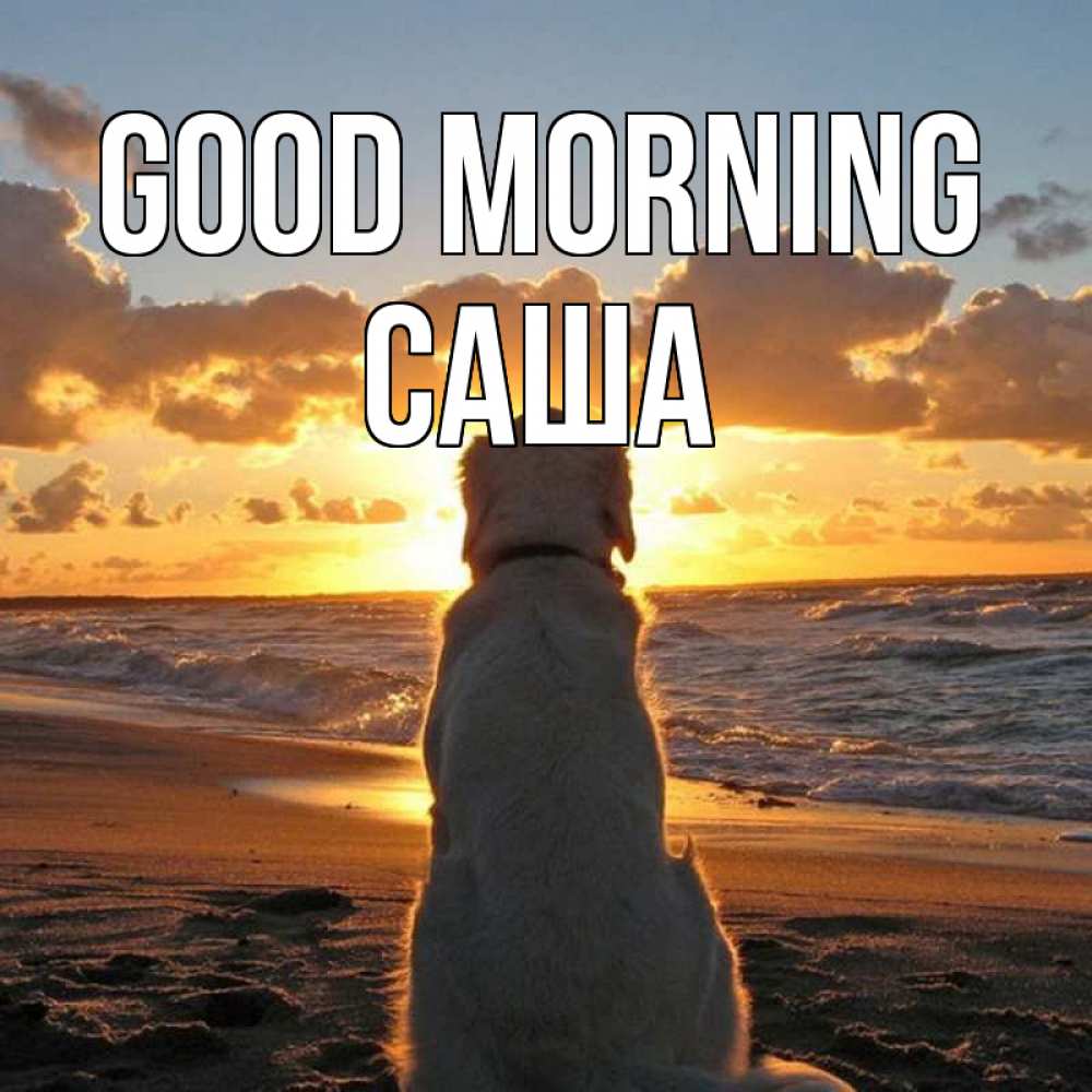 Greetings card с именем, Саша Good morning восход солнца Greetings with text for free download 