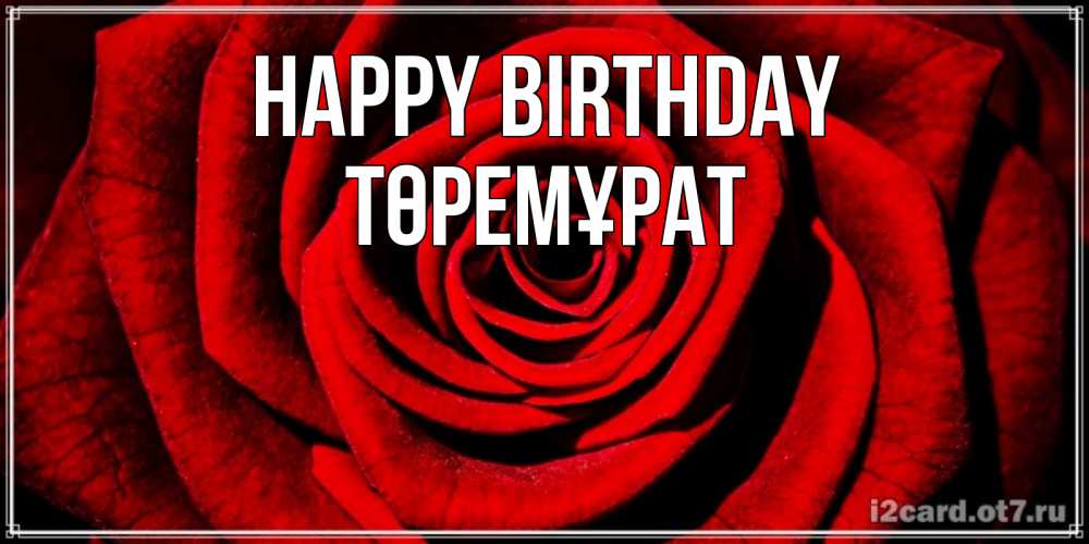 Greetings card с именем, Төремұрат Happy Birthday алая роза Greetings with text for free download 