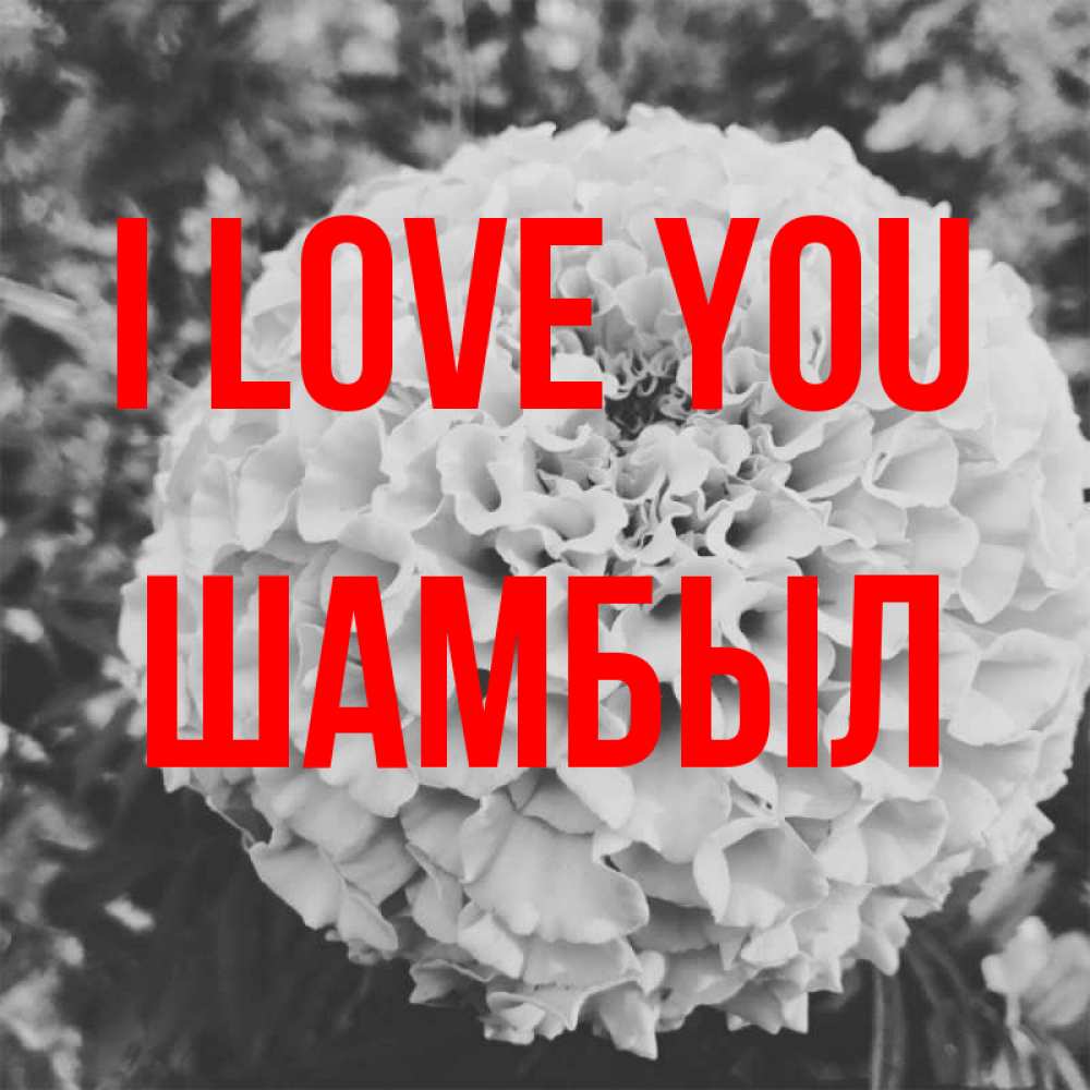Greetings card с именем, ШАМБЫЛ I love you подпись Greetings with text for free download 
