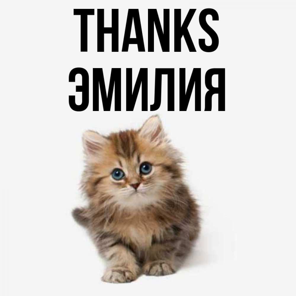 Greetings card с именем, Эмилия Thanks пушистый котик Greetings with text for free download 