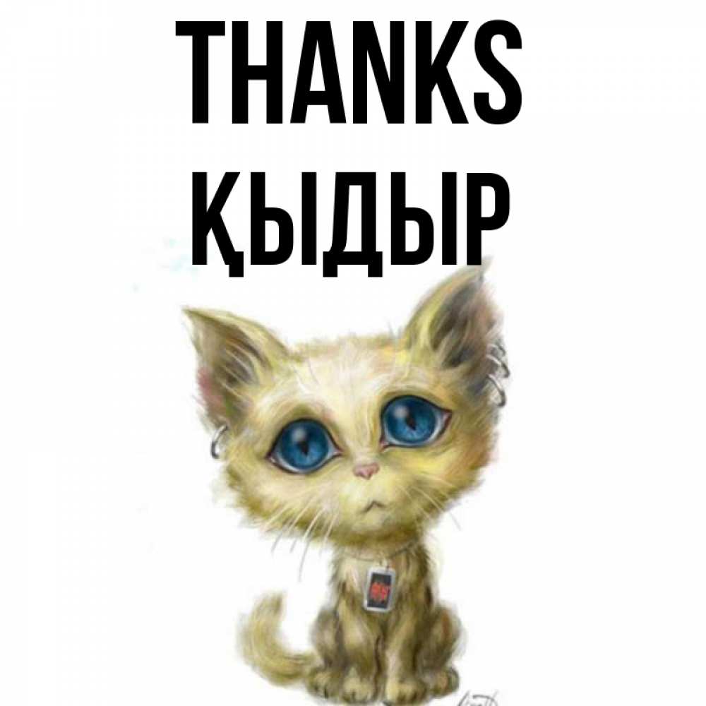 Greetings card с именем, ҚЫДЫР Thanks рисованный кот благодарит вас Greetings with text for free download 