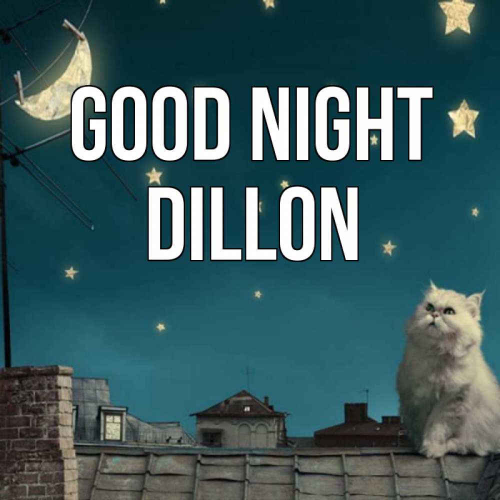 Greetings card с именем, Dillon Good night белый кот сидит на крыше Greetings with text for free download 