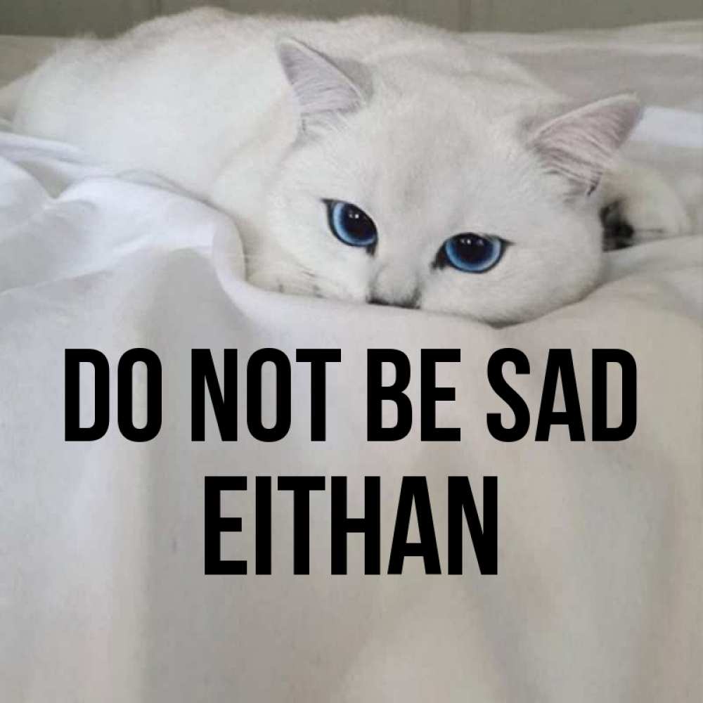 Greetings card с именем, Eithan Do not be sad Голубоглазая кошка Greetings with text for free download 