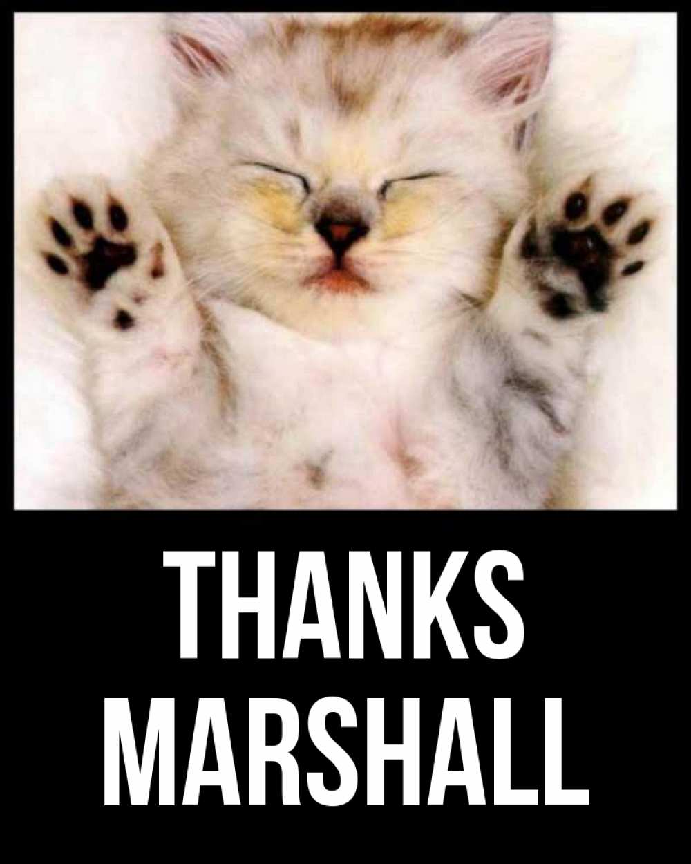Greetings card с именем, Marshall Thanks маленький котенок Greetings with text for free download 