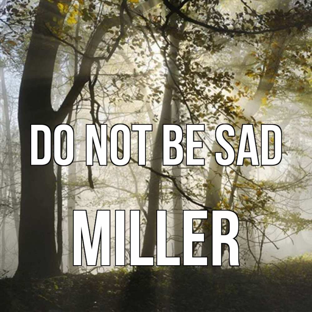 Greetings card с именем, Miller Do not be sad лес и свет Greetings with text for free download 