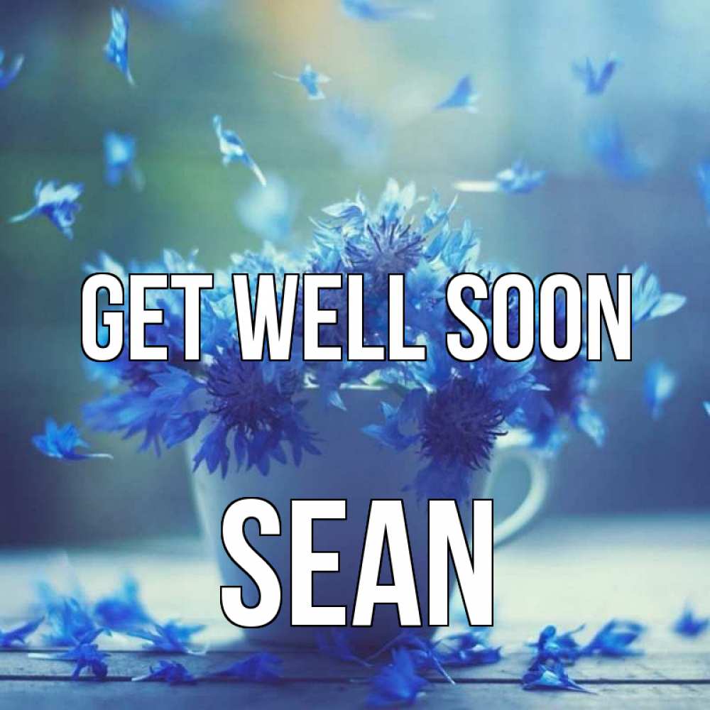 Greetings card с именем, Sean Get well soon кружка с зельем и цветами Greetings with text for free download 
