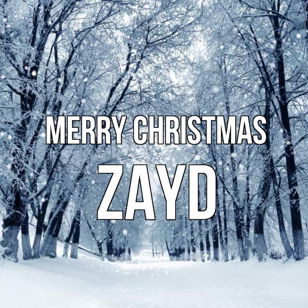 Greetings card с именем, Zayd Merry Christmas снег, лес, парк Greetings with text for free download 