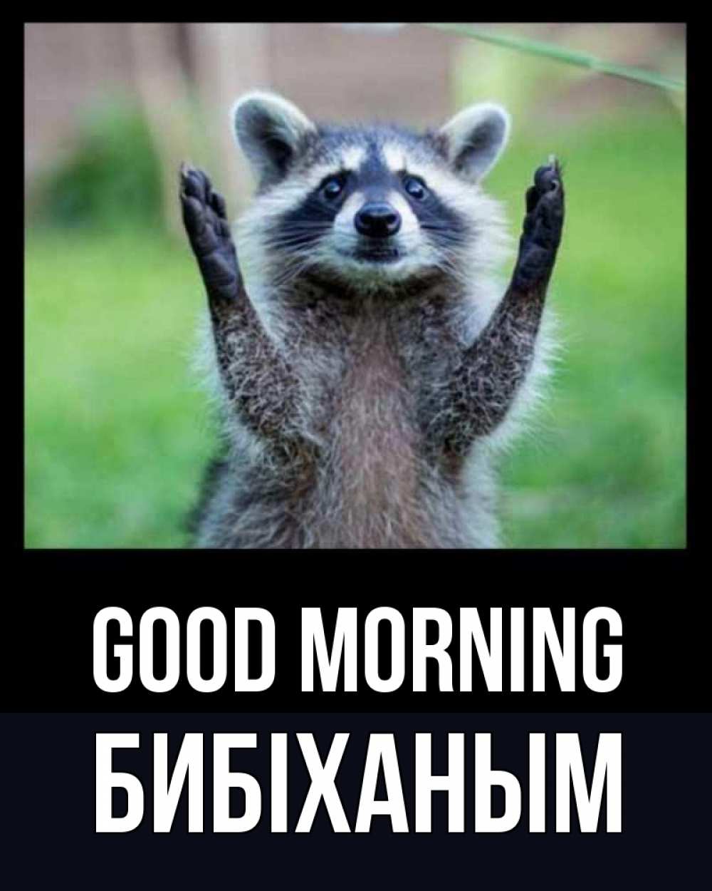 Greetings card с именем, БИБІХАНЫМ Good morning хорошее настроение утречком Greetings with text for free download 