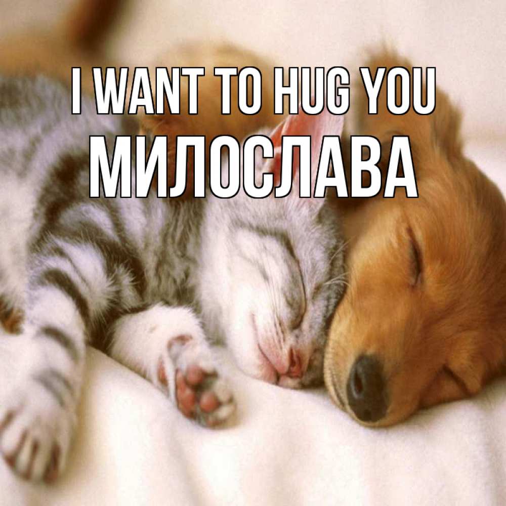 Greetings card с именем, Милослава I want to hug you пес и котенок Greetings with text for free download 