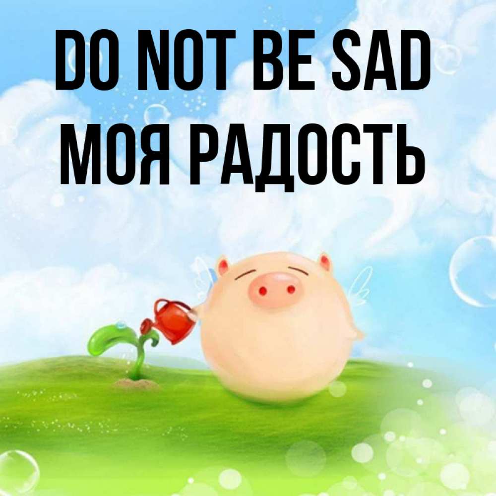 Greetings card с именем, Моя-радость Do not be sad поливает цветок порося Greetings with text for free download 