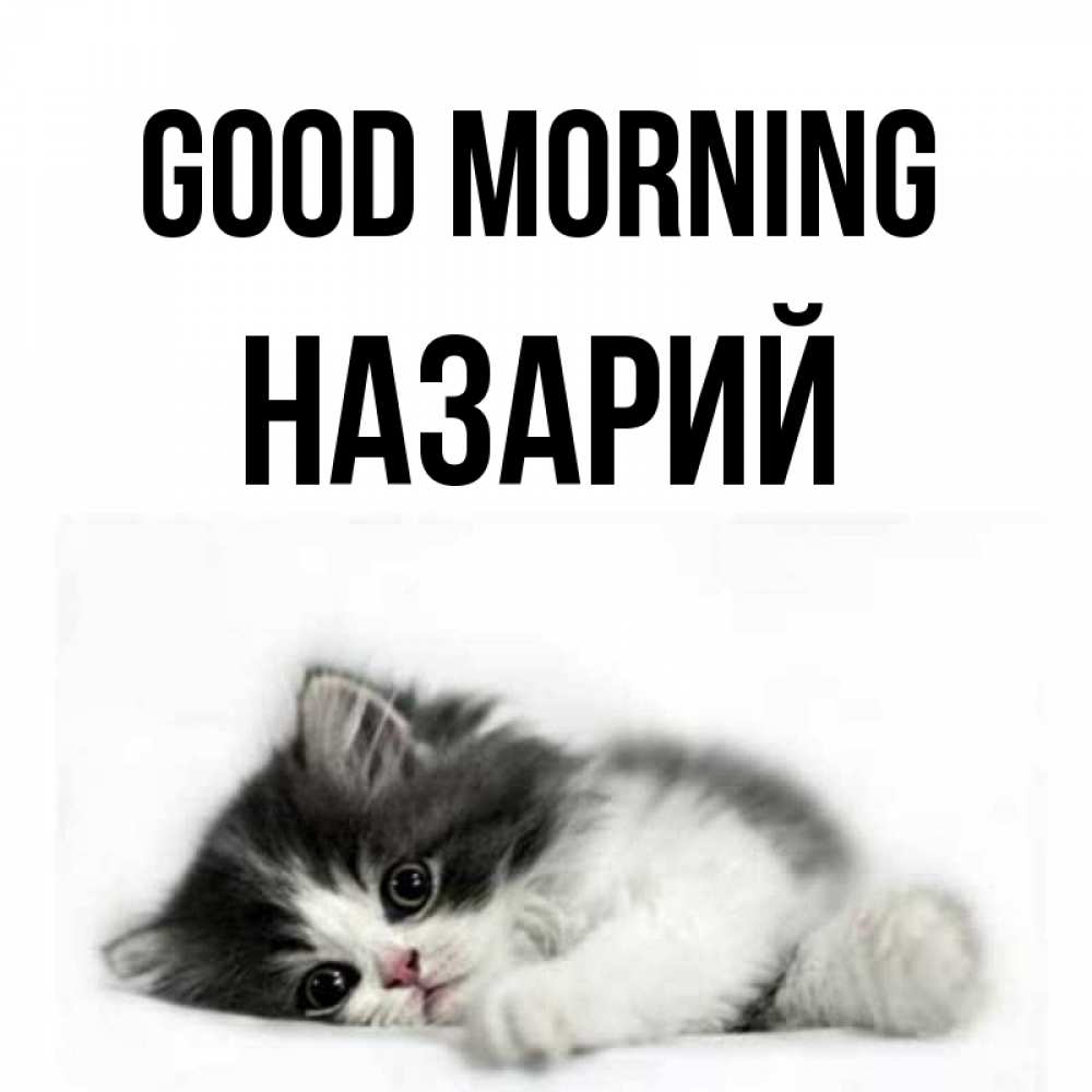 Greetings card с именем, Назарий Good morning кот лапки Greetings with text for free download 