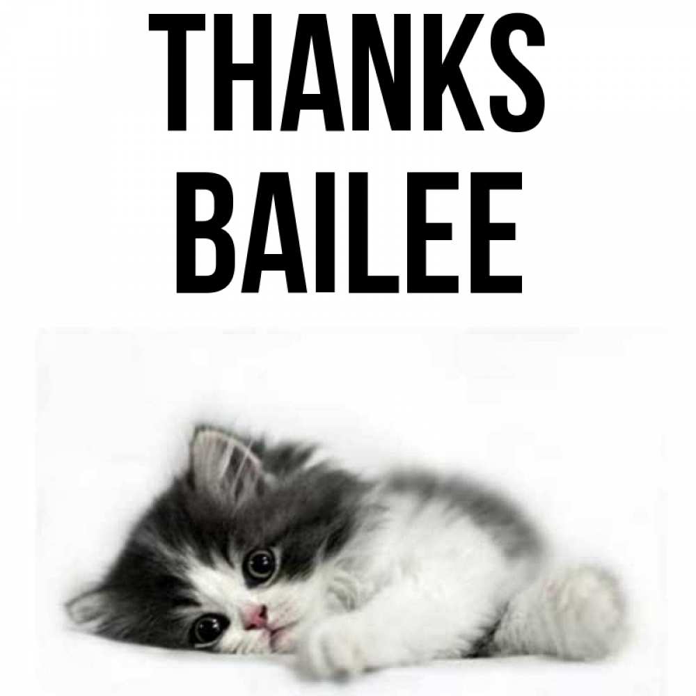 Greetings card с именем, Bailee Thanks черный и белый кот Greetings with text for free download 