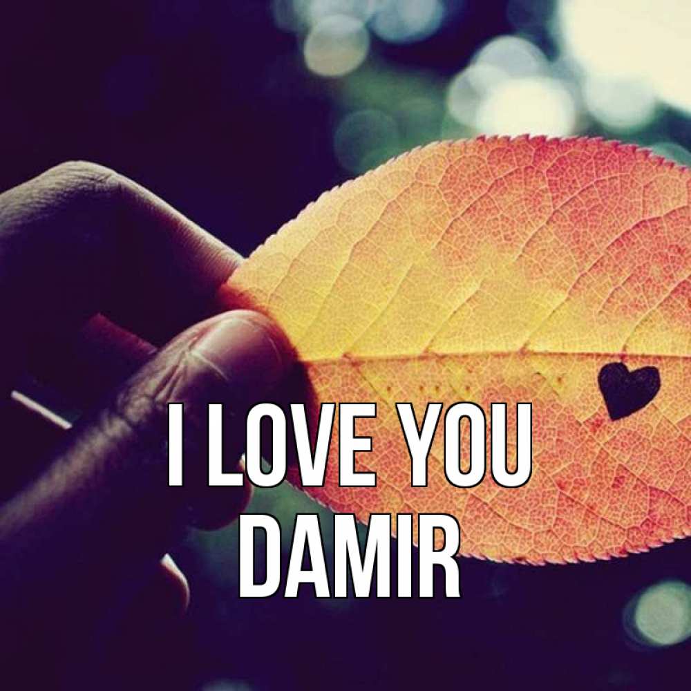 Greetings card с именем, Damir I love you держу лист Greetings with text for free download 