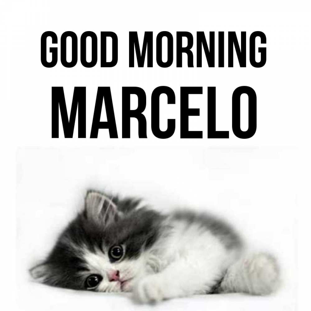 Greetings card с именем, Marcelo Good morning кот лапки Greetings with text for free download 