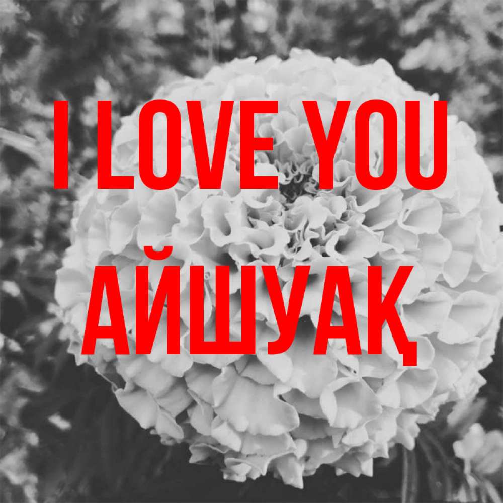 Greetings card с именем, Айшуақ I love you подпись Greetings with text for free download 