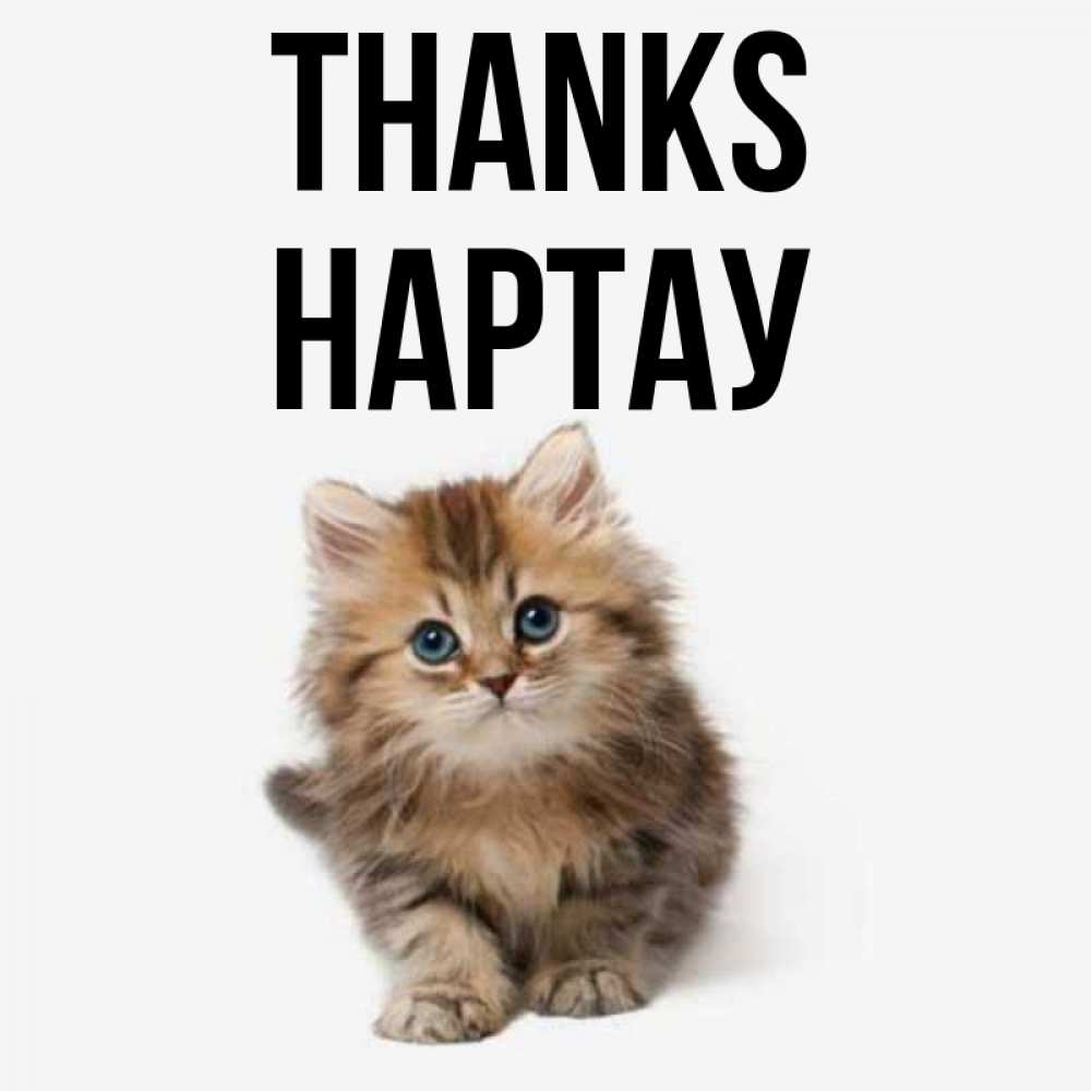 Greetings card с именем, НАРТАУ Thanks пушистый котик Greetings with text for free download 