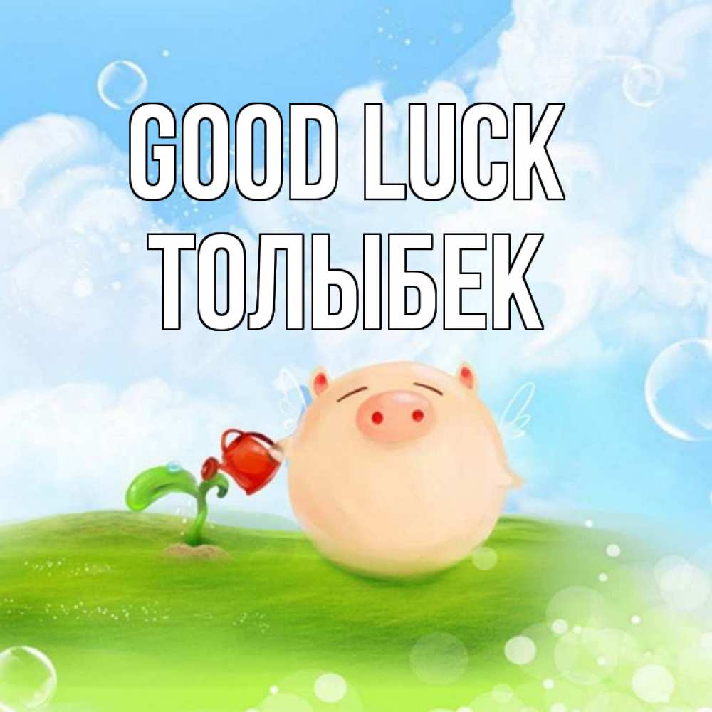 Greetings card с именем, ТОЛЫБЕК Good luck поросенок поливает цветок. летнее настроение Greetings with text for free download 