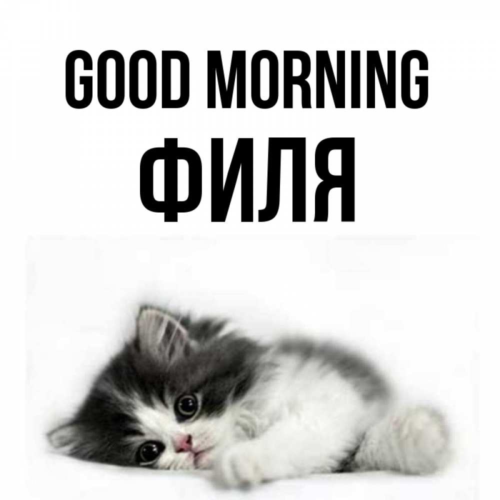 Greetings card с именем, Филя Good morning кот лапки Greetings with text for free download 