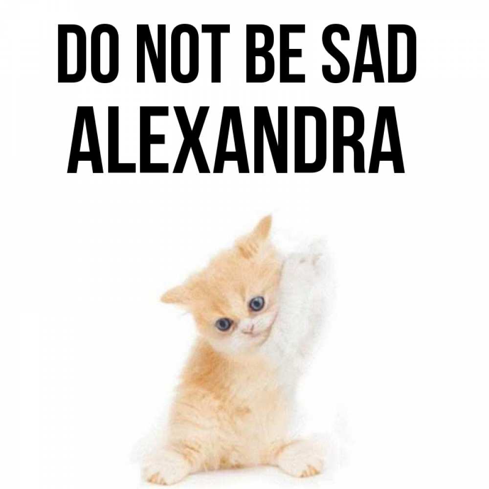 Greetings card с именем, Alexandra Do not be sad просящий кот Greetings with text for free download 