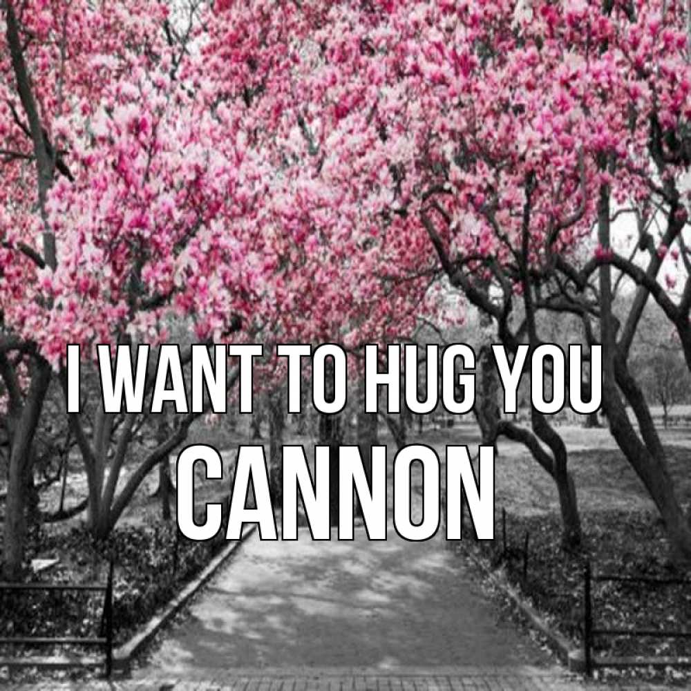 Greetings card с именем, Cannon I want to hug you обработанное фото Greetings with text for free download 