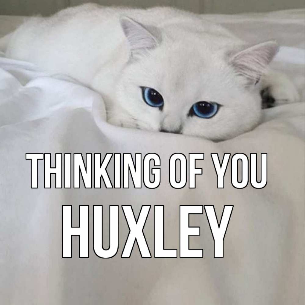 Greetings card с именем, Huxley Thinking of you я очень по тебе скучаю и тоскую Greetings with text for free download 