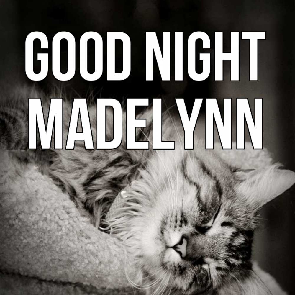 Greetings card с именем, Madelynn Good night котярик пушистый Greetings with text for free download 
